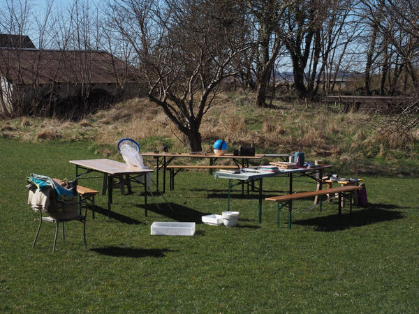 AlgaeLAB, Havmøllen, 2025