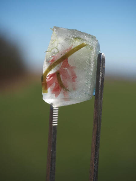 Apero (excerpt), 2025